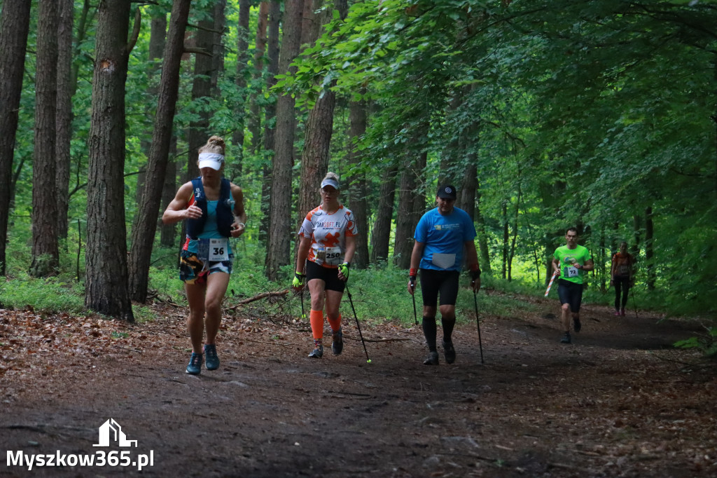 Fotorelacja III: 46. Międzynarodowy Bieg V-ciu Stawów w Myszkowie