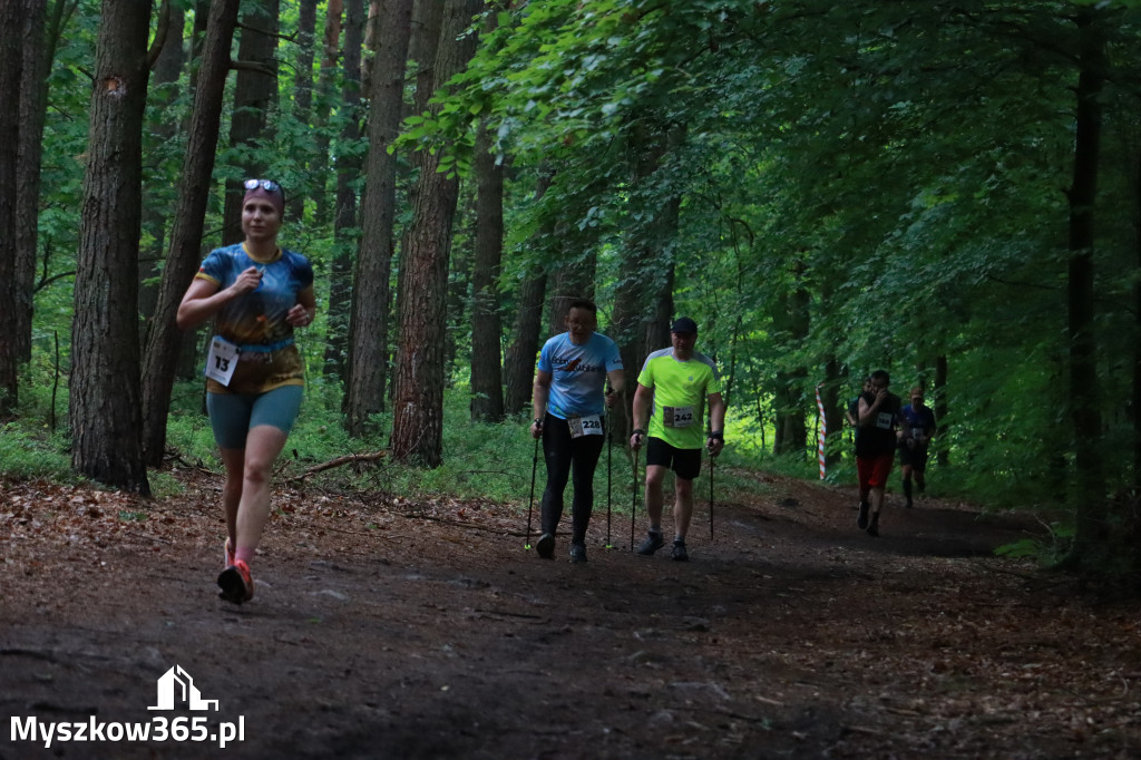 Fotorelacja III: 46. Międzynarodowy Bieg V-ciu Stawów w Myszkowie