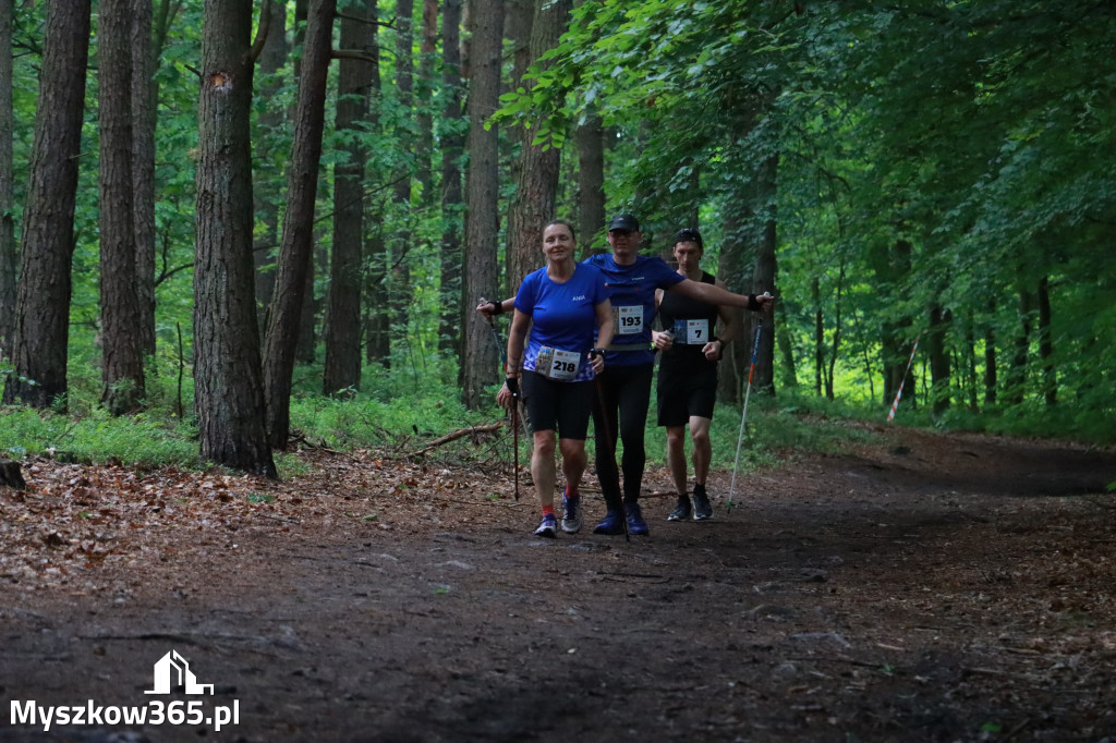 Fotorelacja III: 46. Międzynarodowy Bieg V-ciu Stawów w Myszkowie