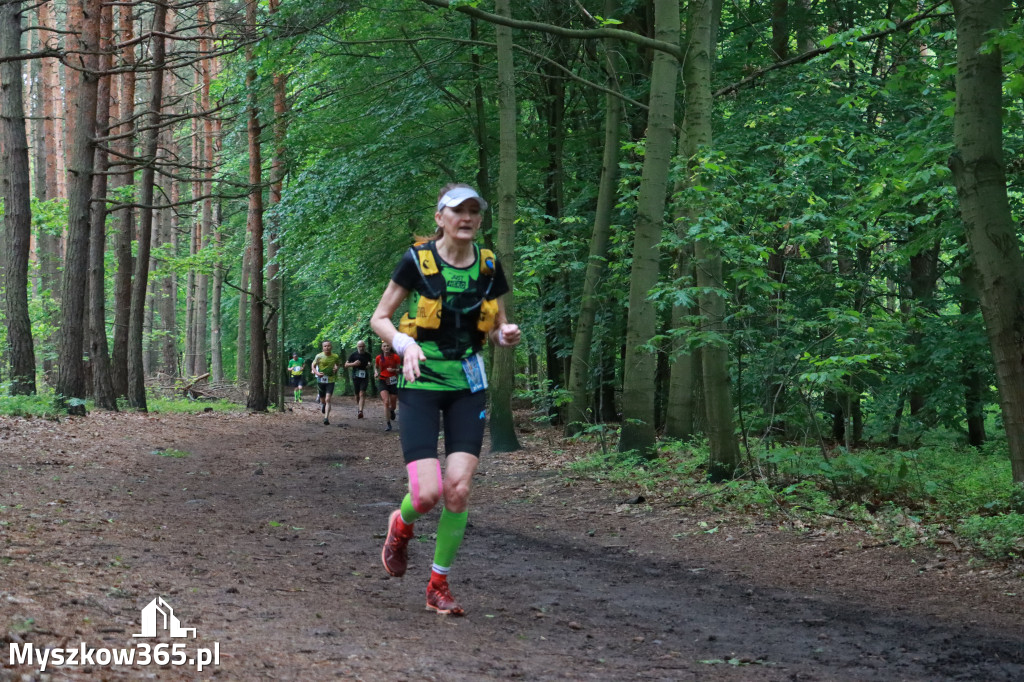Fotorelacja III: 46. Międzynarodowy Bieg V-ciu Stawów w Myszkowie