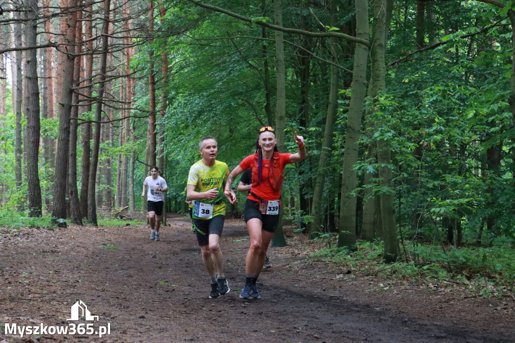 Fotorelacja III: 46. Międzynarodowy Bieg V-ciu Stawów w Myszkowie