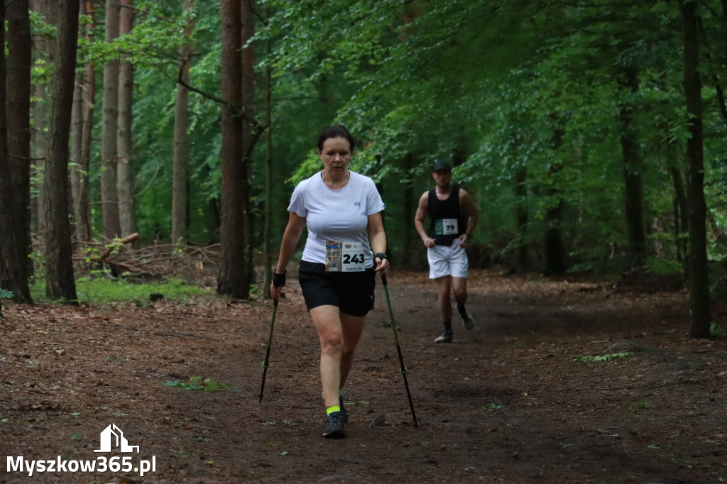Fotorelacja III: 46. Międzynarodowy Bieg V-ciu Stawów w Myszkowie