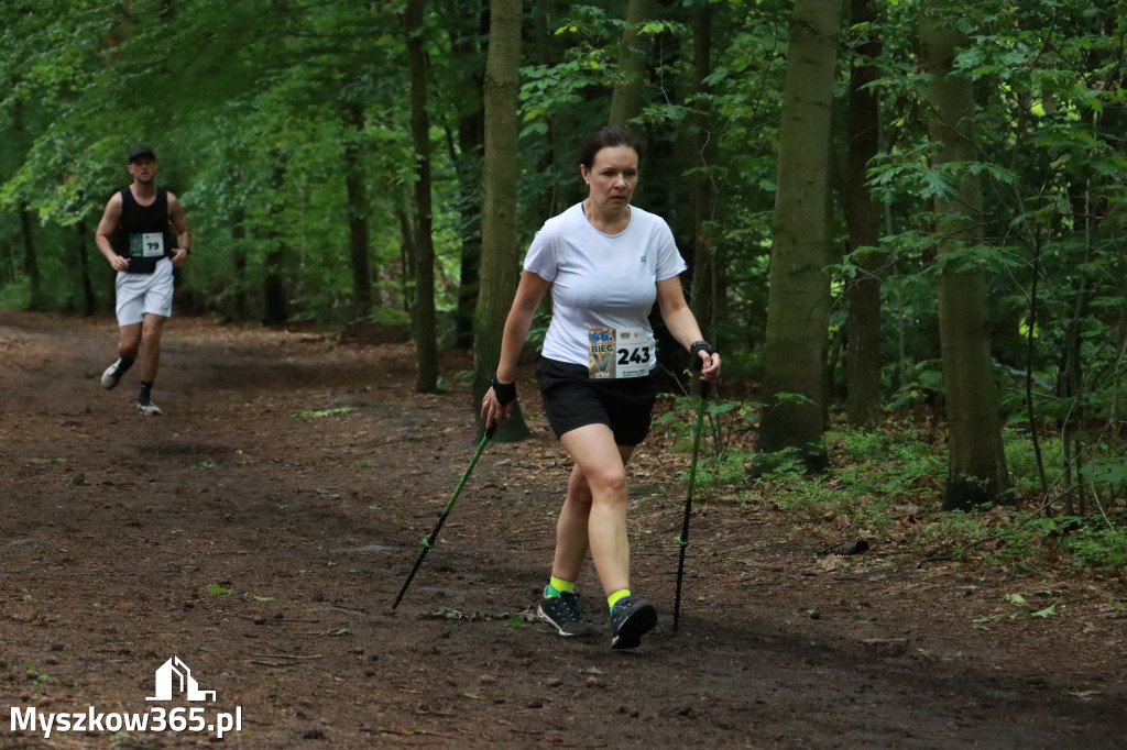 Fotorelacja III: 46. Międzynarodowy Bieg V-ciu Stawów w Myszkowie
