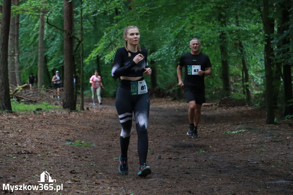 Fotorelacja III: 46. Międzynarodowy Bieg V-ciu Stawów w Myszkowie