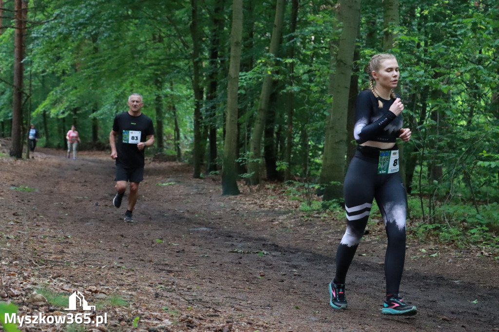 Fotorelacja III: 46. Międzynarodowy Bieg V-ciu Stawów w Myszkowie