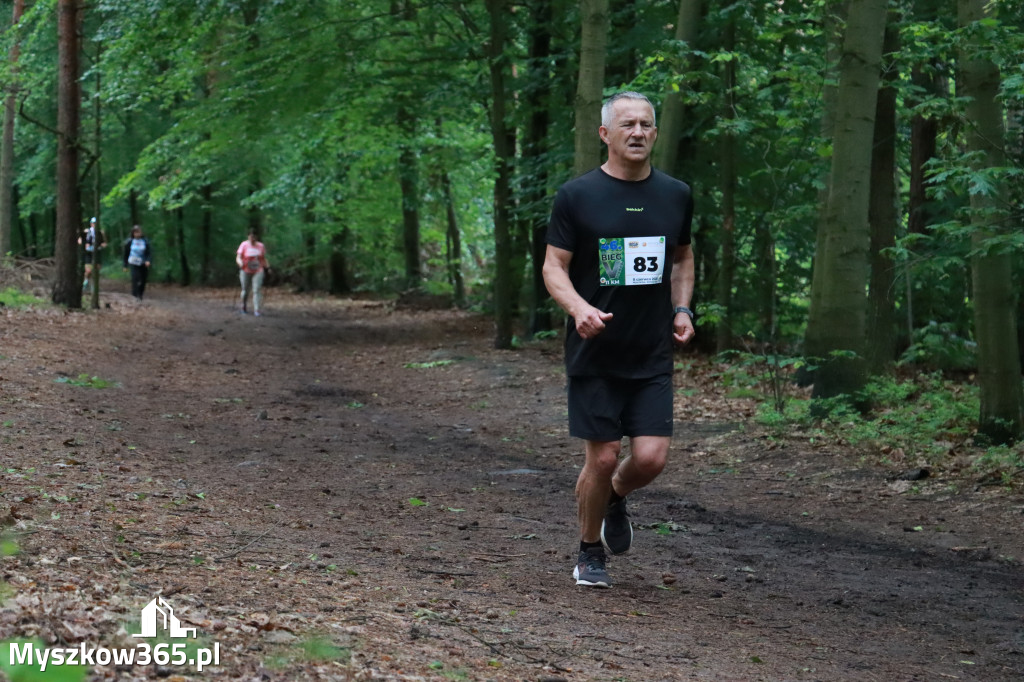 Fotorelacja III: 46. Międzynarodowy Bieg V-ciu Stawów w Myszkowie