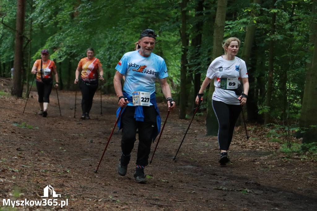 Fotorelacja III: 46. Międzynarodowy Bieg V-ciu Stawów w Myszkowie
