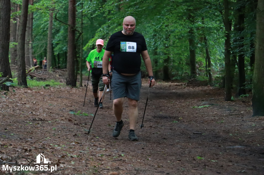 Fotorelacja III: 46. Międzynarodowy Bieg V-ciu Stawów w Myszkowie