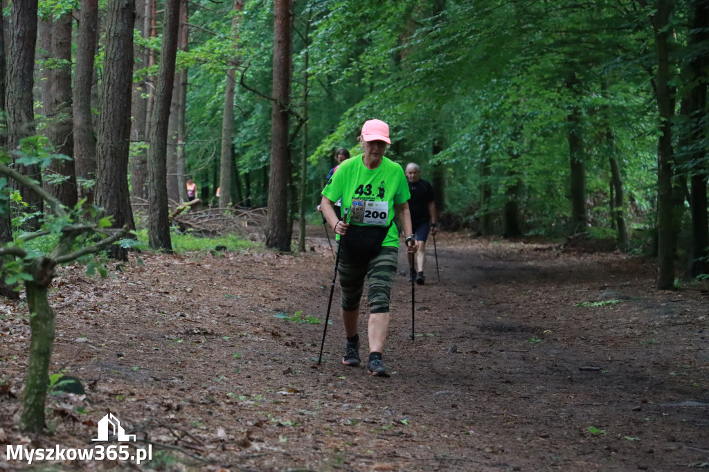 Fotorelacja III: 46. Międzynarodowy Bieg V-ciu Stawów w Myszkowie