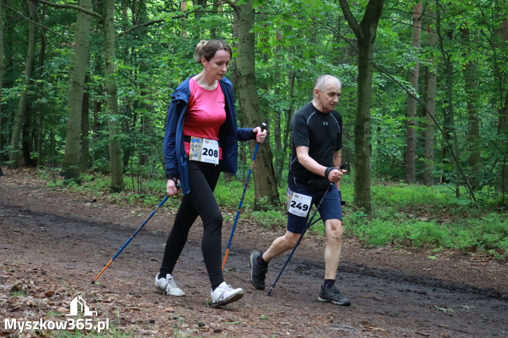 Fotorelacja III: 46. Międzynarodowy Bieg V-ciu Stawów w Myszkowie