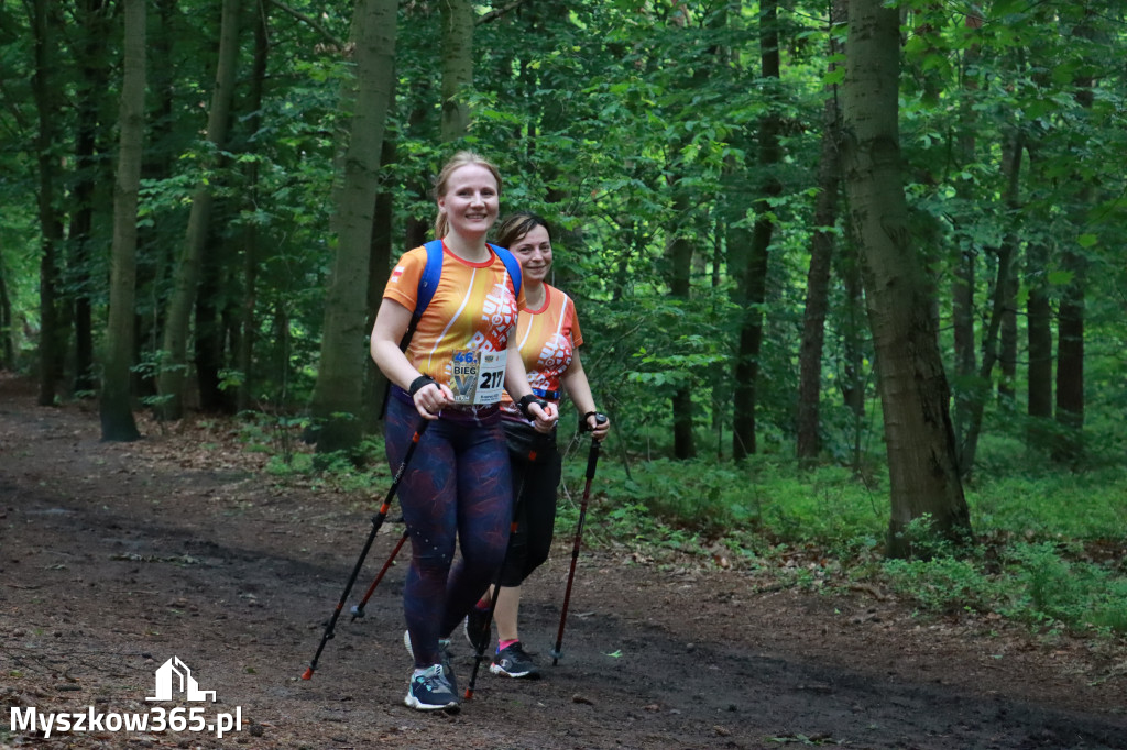 Fotorelacja III: 46. Międzynarodowy Bieg V-ciu Stawów w Myszkowie