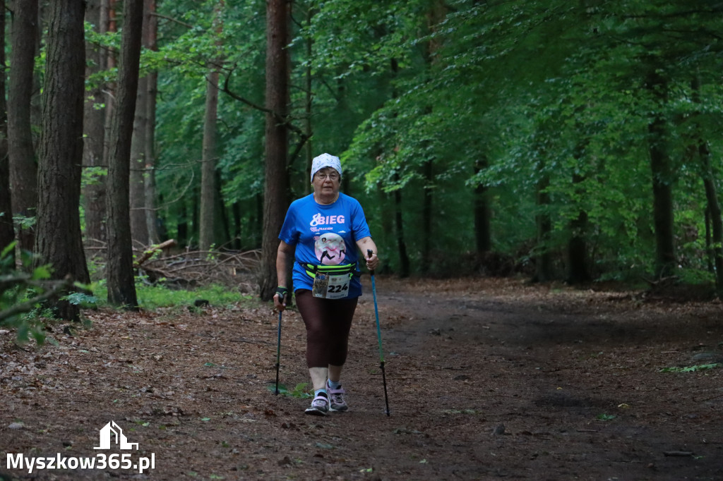 Fotorelacja III: 46. Międzynarodowy Bieg V-ciu Stawów w Myszkowie