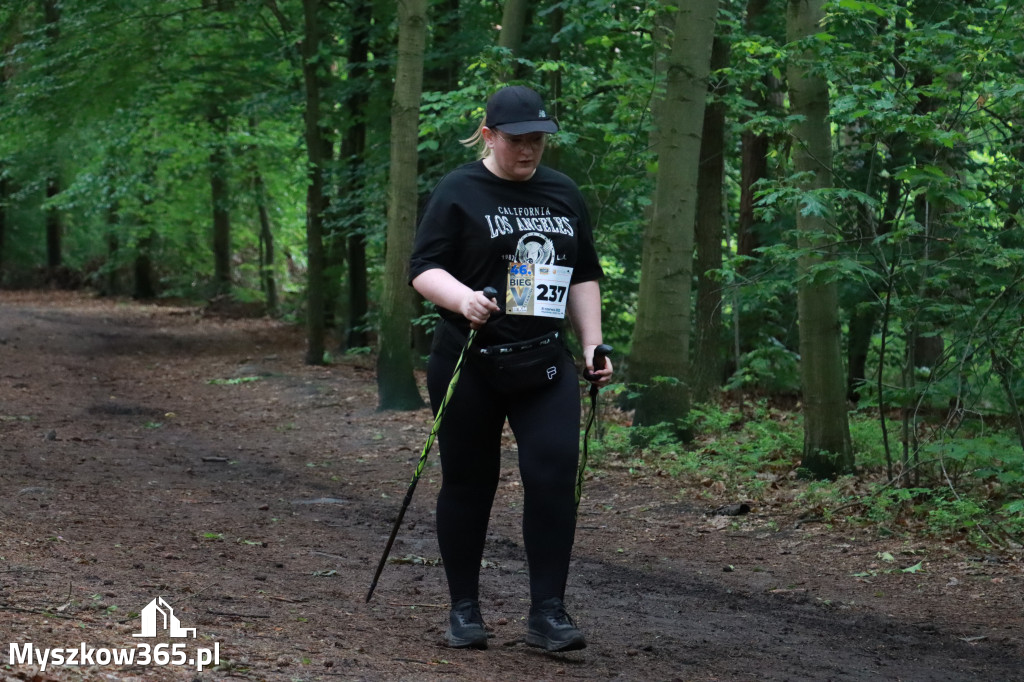 Fotorelacja III: 46. Międzynarodowy Bieg V-ciu Stawów w Myszkowie