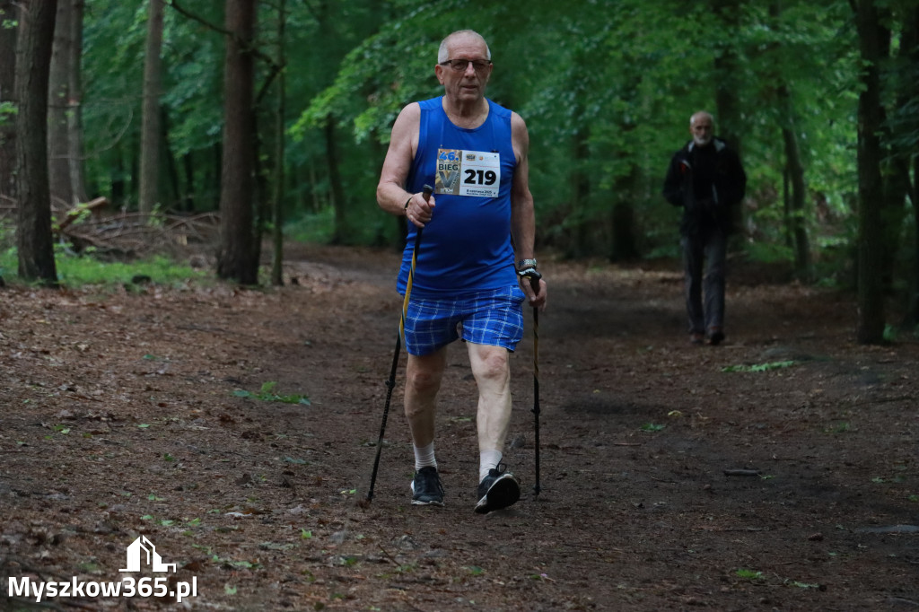 Fotorelacja III: 46. Międzynarodowy Bieg V-ciu Stawów w Myszkowie