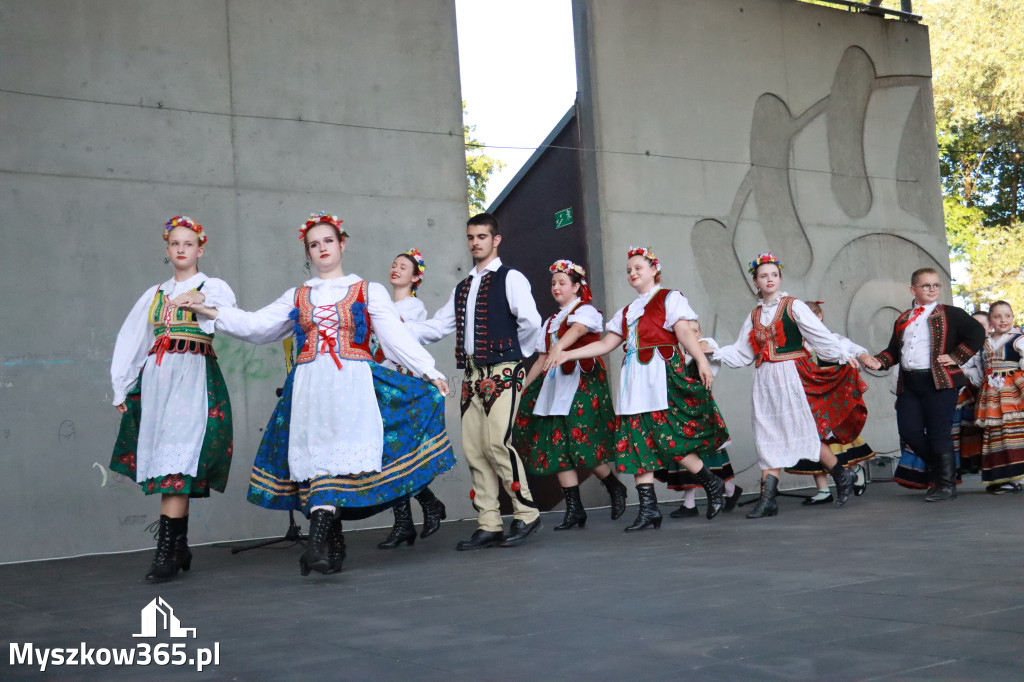 Fotorelacja I: Muzyczne Wianki w Myszkowie