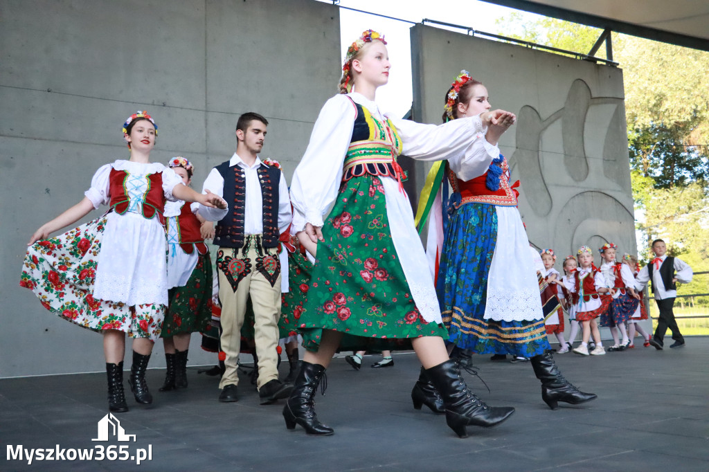 Fotorelacja I: Muzyczne Wianki w Myszkowie