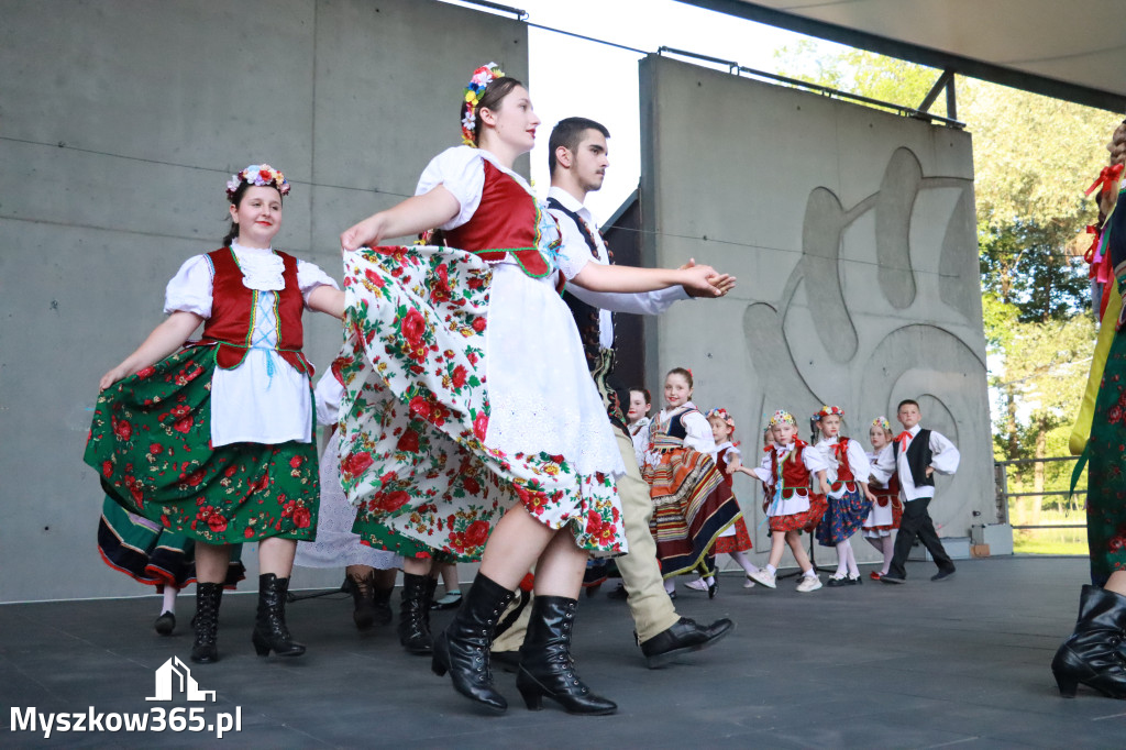 Fotorelacja I: Muzyczne Wianki w Myszkowie