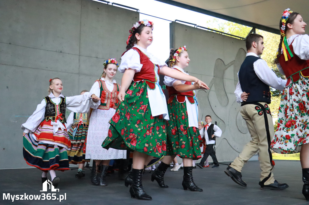 Fotorelacja I: Muzyczne Wianki w Myszkowie
