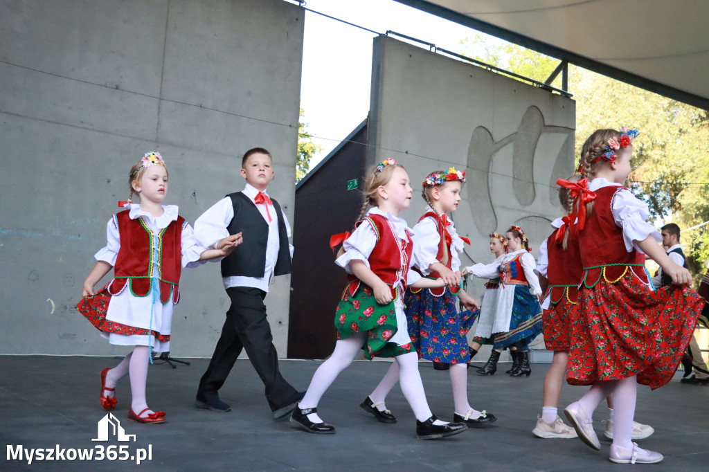 Fotorelacja I: Muzyczne Wianki w Myszkowie