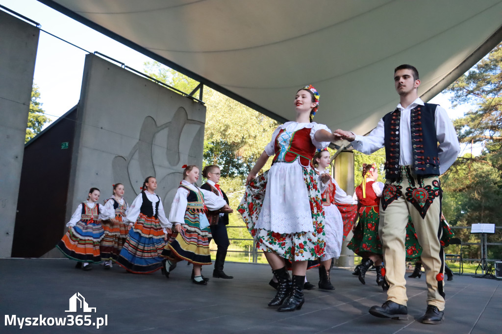 Fotorelacja I: Muzyczne Wianki w Myszkowie