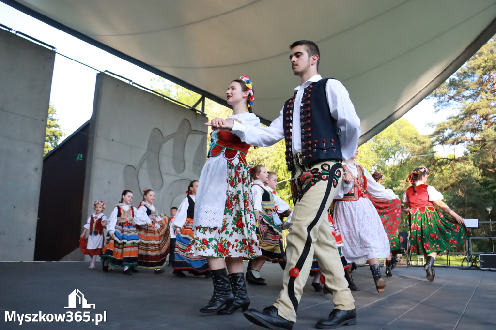 Fotorelacja I: Muzyczne Wianki w Myszkowie