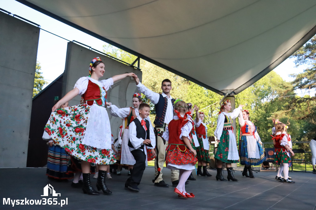 Fotorelacja I: Muzyczne Wianki w Myszkowie