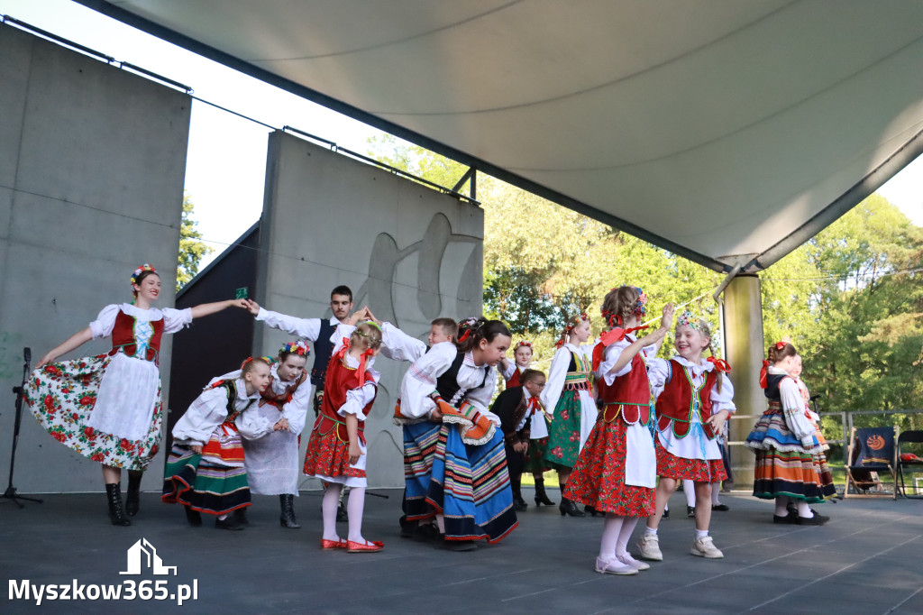 Fotorelacja I: Muzyczne Wianki w Myszkowie