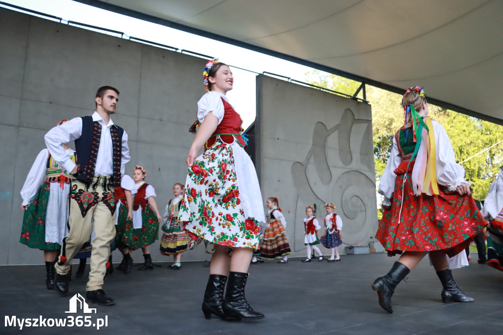 Fotorelacja I: Muzyczne Wianki w Myszkowie