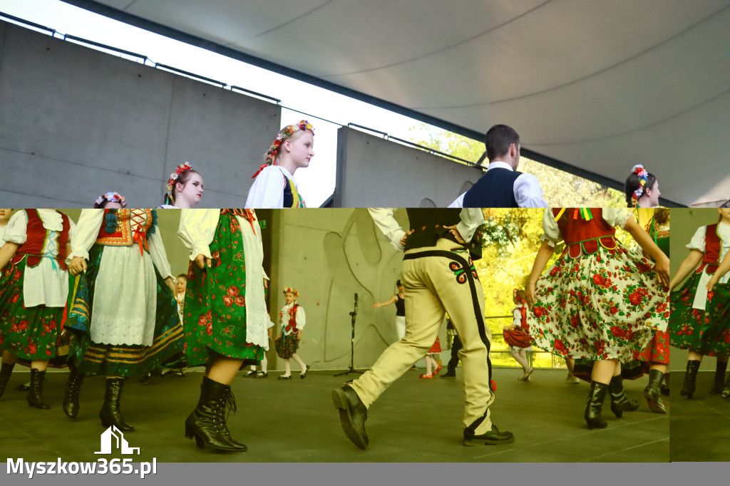 Fotorelacja I: Muzyczne Wianki w Myszkowie