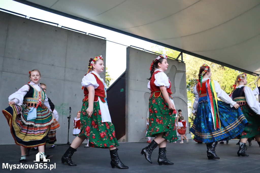 Fotorelacja I: Muzyczne Wianki w Myszkowie