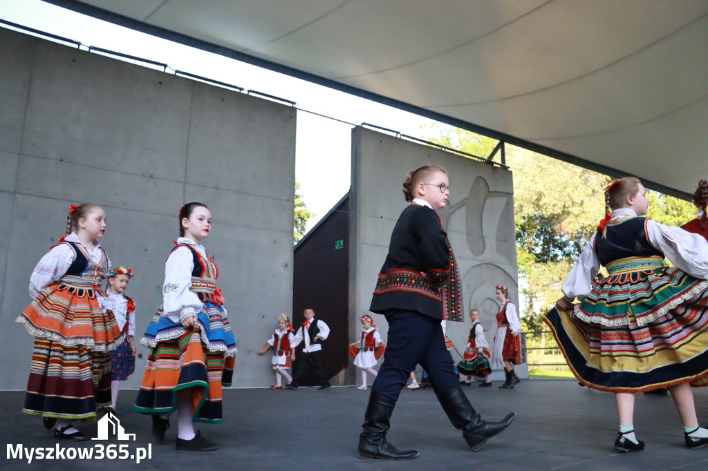Fotorelacja I: Muzyczne Wianki w Myszkowie