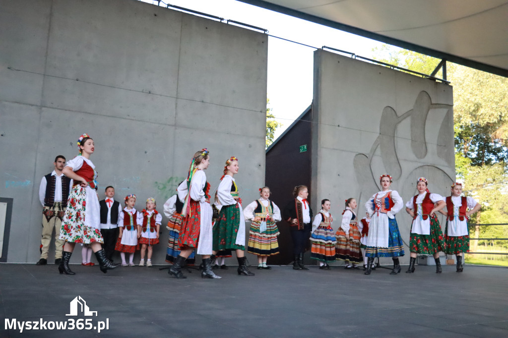 Fotorelacja I: Muzyczne Wianki w Myszkowie