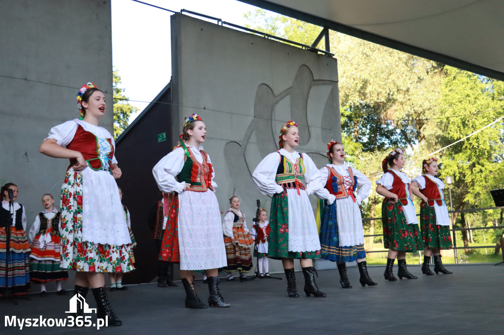 Fotorelacja I: Muzyczne Wianki w Myszkowie