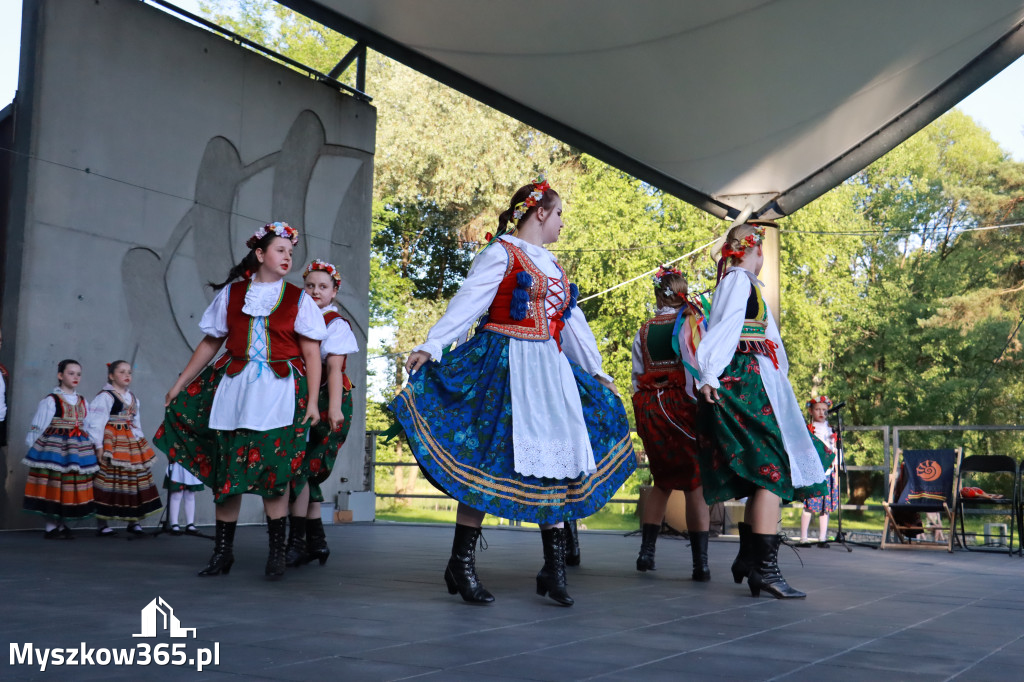 Fotorelacja I: Muzyczne Wianki w Myszkowie