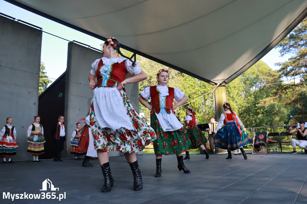 Fotorelacja I: Muzyczne Wianki w Myszkowie