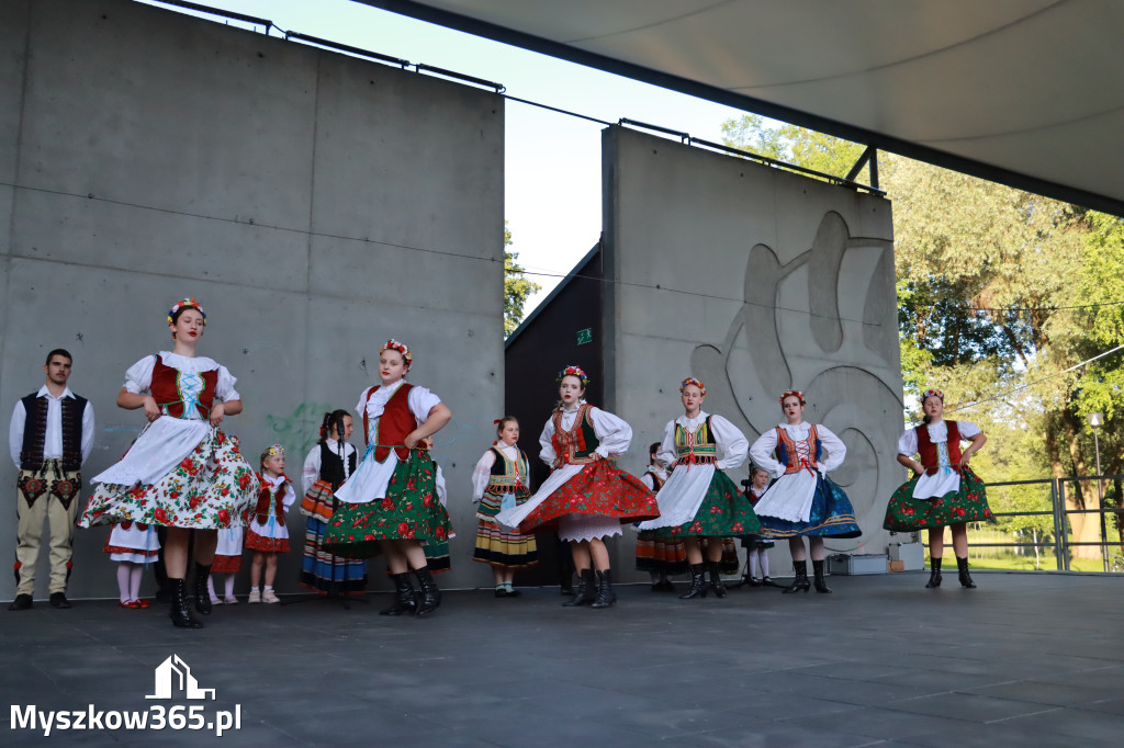 Fotorelacja I: Muzyczne Wianki w Myszkowie