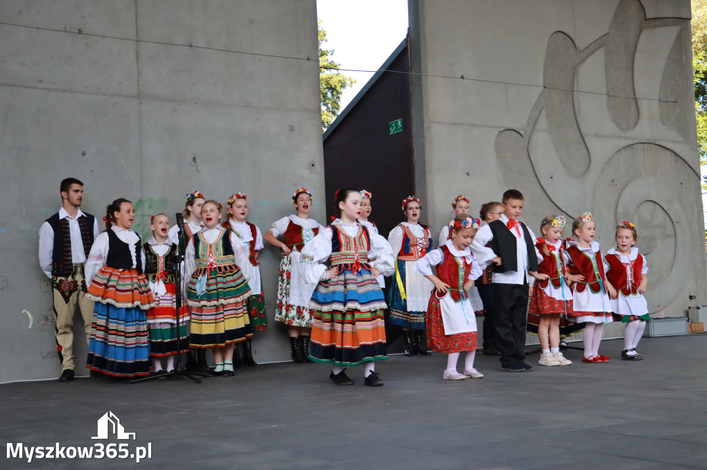 Fotorelacja I: Muzyczne Wianki w Myszkowie