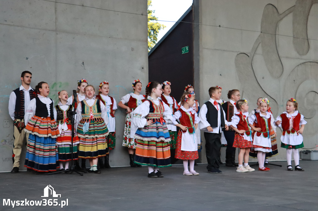 Fotorelacja I: Muzyczne Wianki w Myszkowie