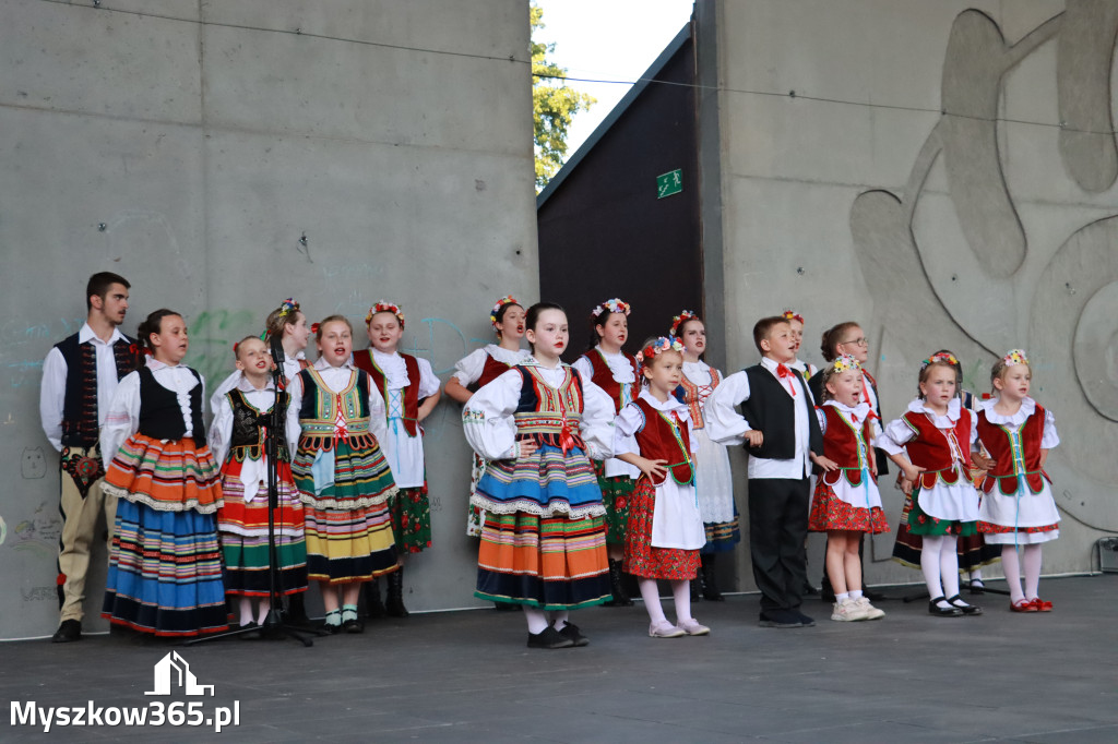Fotorelacja I: Muzyczne Wianki w Myszkowie