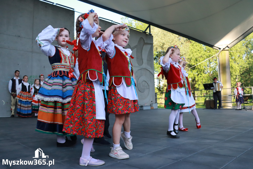 Fotorelacja I: Muzyczne Wianki w Myszkowie