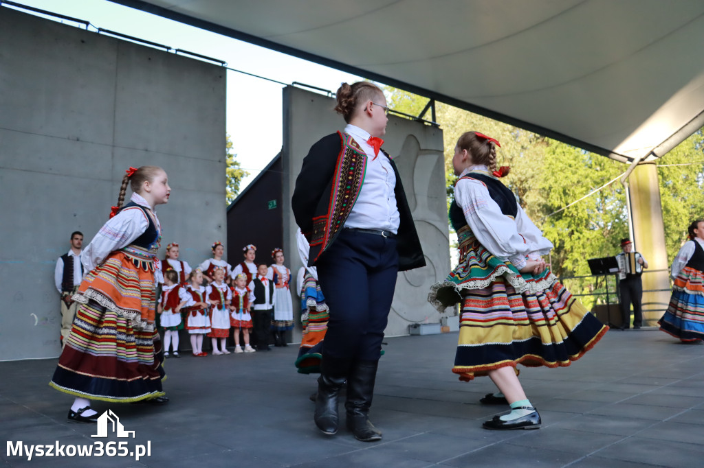 Fotorelacja I: Muzyczne Wianki w Myszkowie