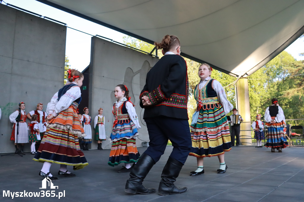 Fotorelacja I: Muzyczne Wianki w Myszkowie