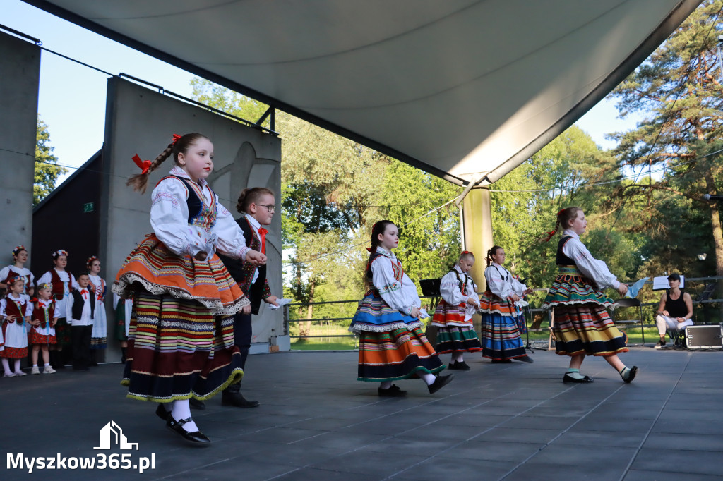 Fotorelacja I: Muzyczne Wianki w Myszkowie