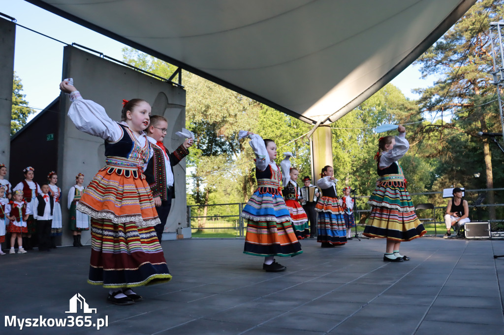 Fotorelacja I: Muzyczne Wianki w Myszkowie