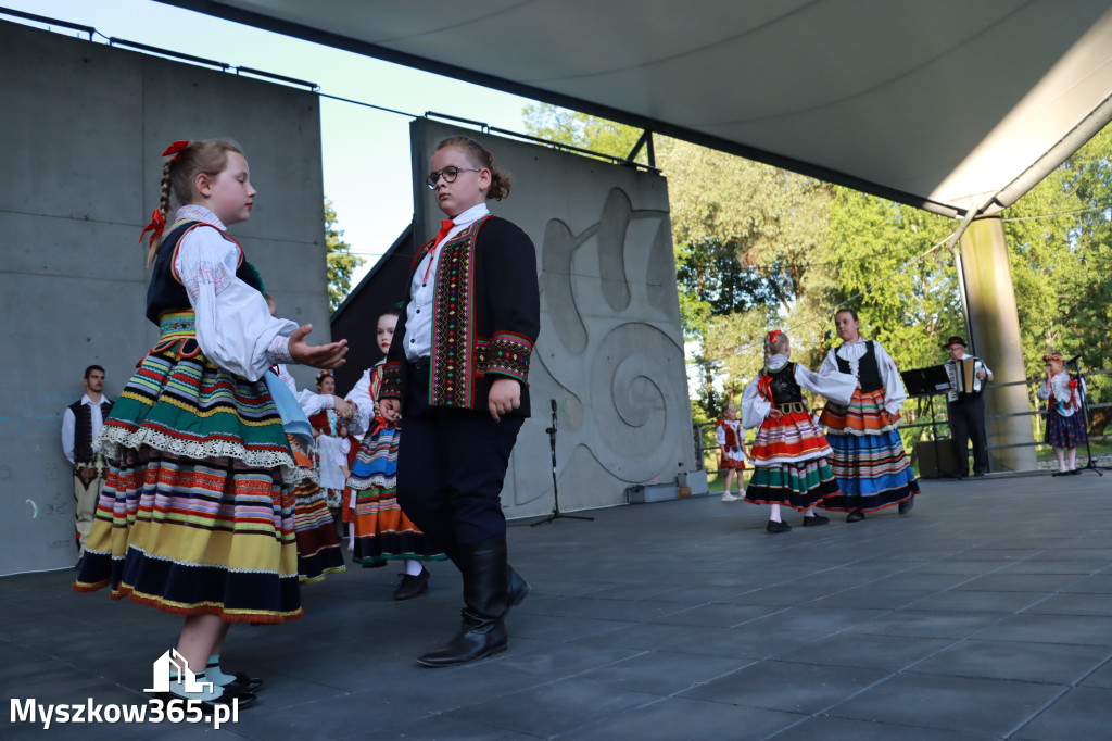 Fotorelacja I: Muzyczne Wianki w Myszkowie