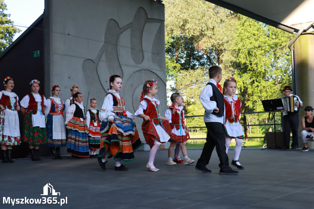 Fotorelacja I: Muzyczne Wianki w Myszkowie