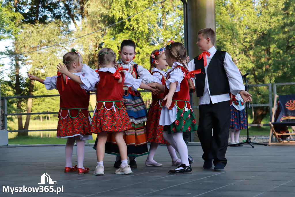 Fotorelacja I: Muzyczne Wianki w Myszkowie