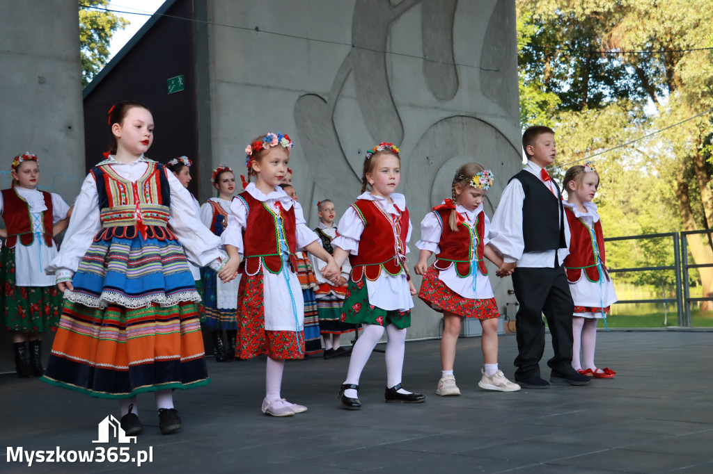 Fotorelacja I: Muzyczne Wianki w Myszkowie