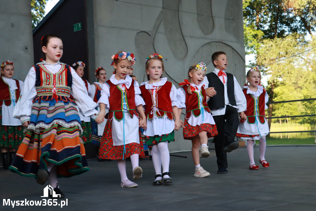 Fotorelacja I: Muzyczne Wianki w Myszkowie