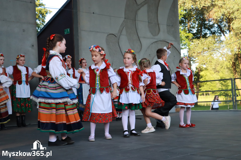 Fotorelacja I: Muzyczne Wianki w Myszkowie